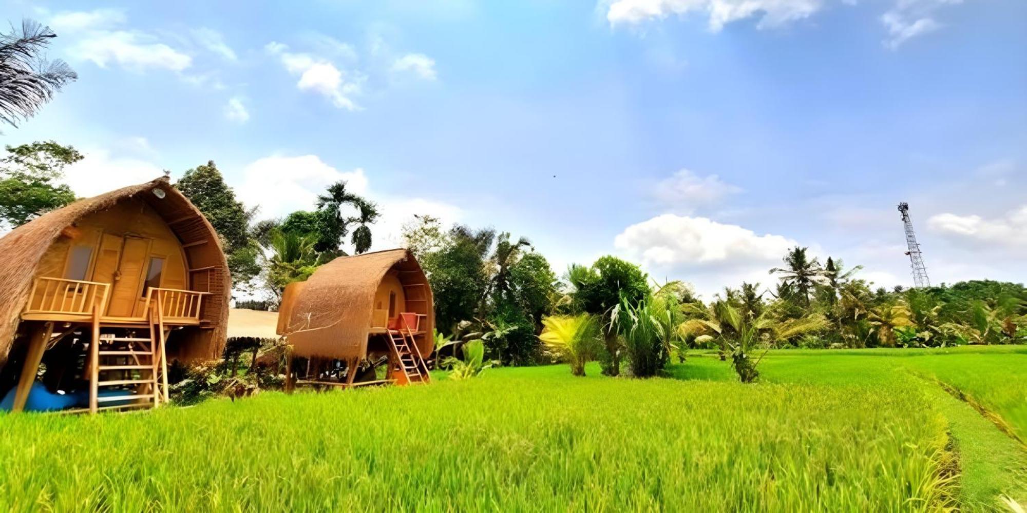 Lumbung Langit Bali House & Hostel Tampaksiring Extérieur photo