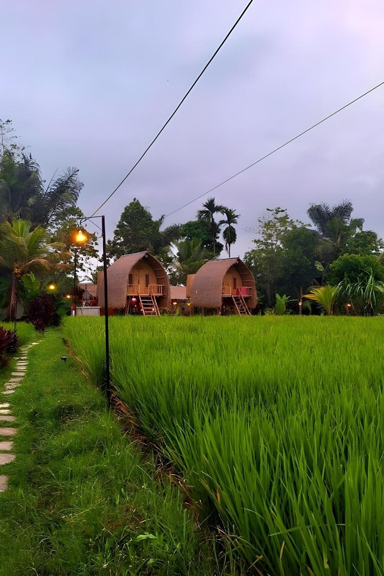 Lumbung Langit Bali House & Hostel Tampaksiring Extérieur photo