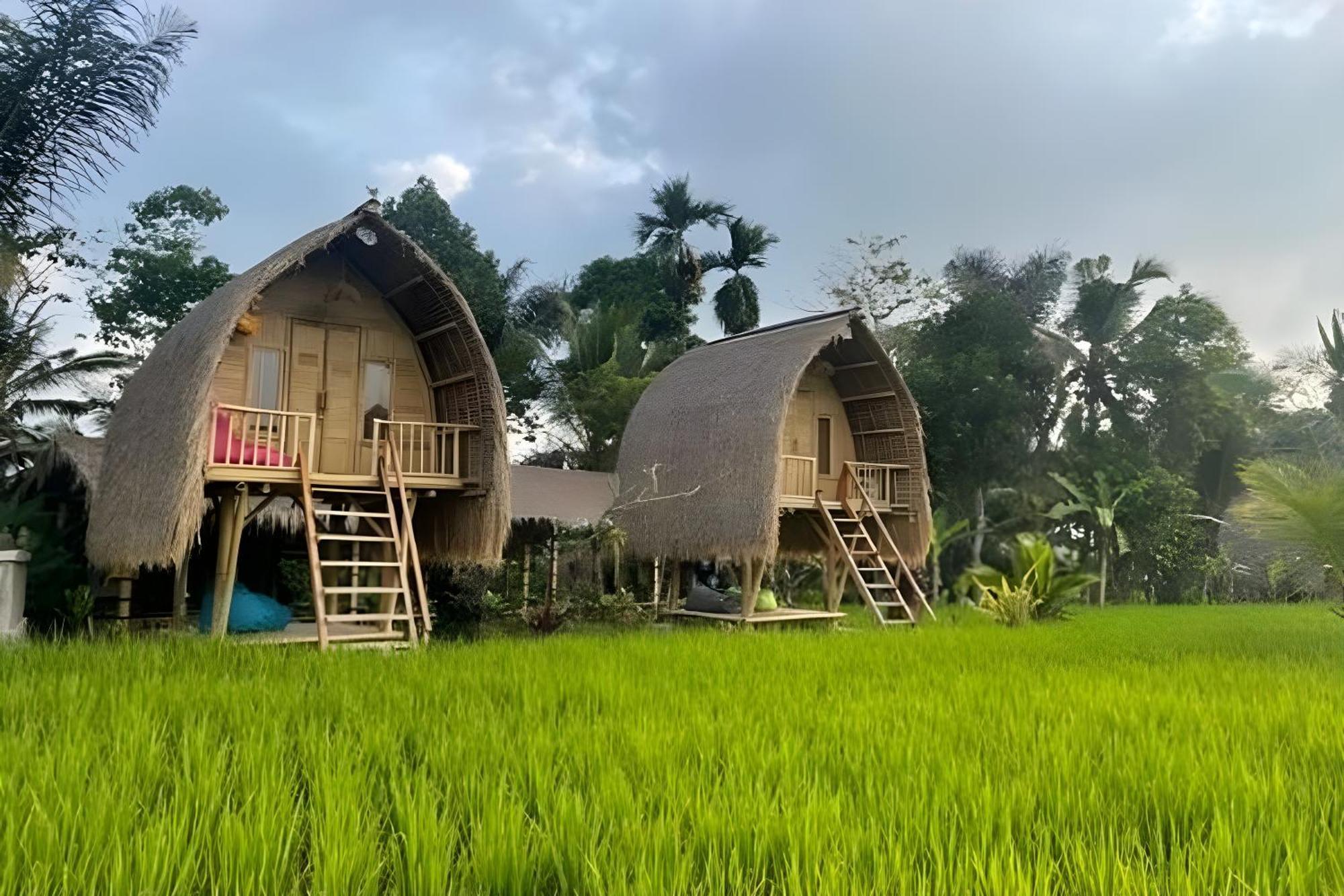 Lumbung Langit Bali House & Hostel Tampaksiring Extérieur photo