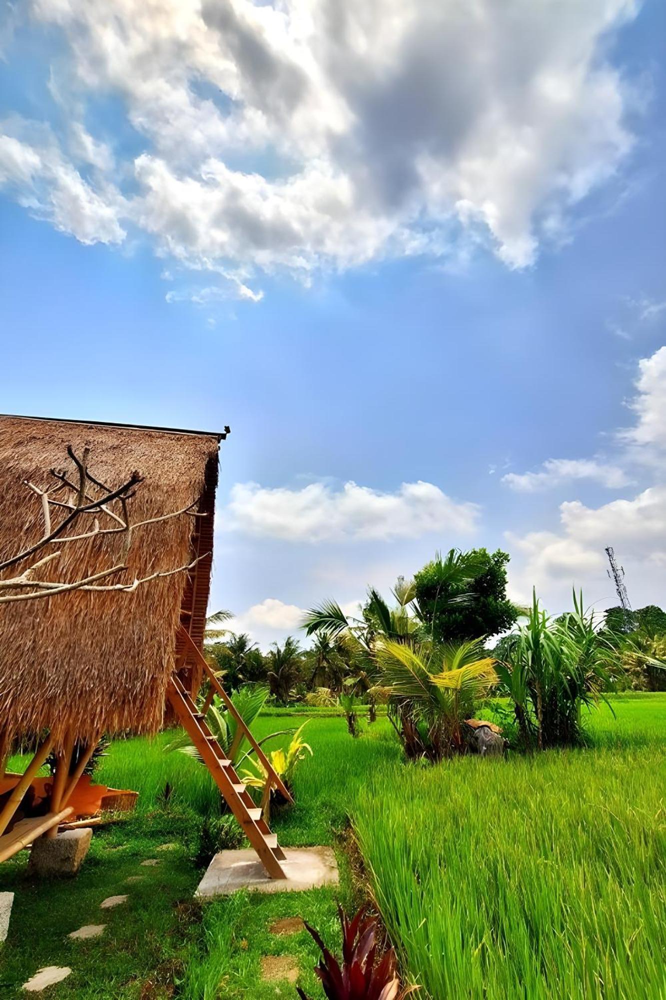 Lumbung Langit Bali House & Hostel Tampaksiring Extérieur photo