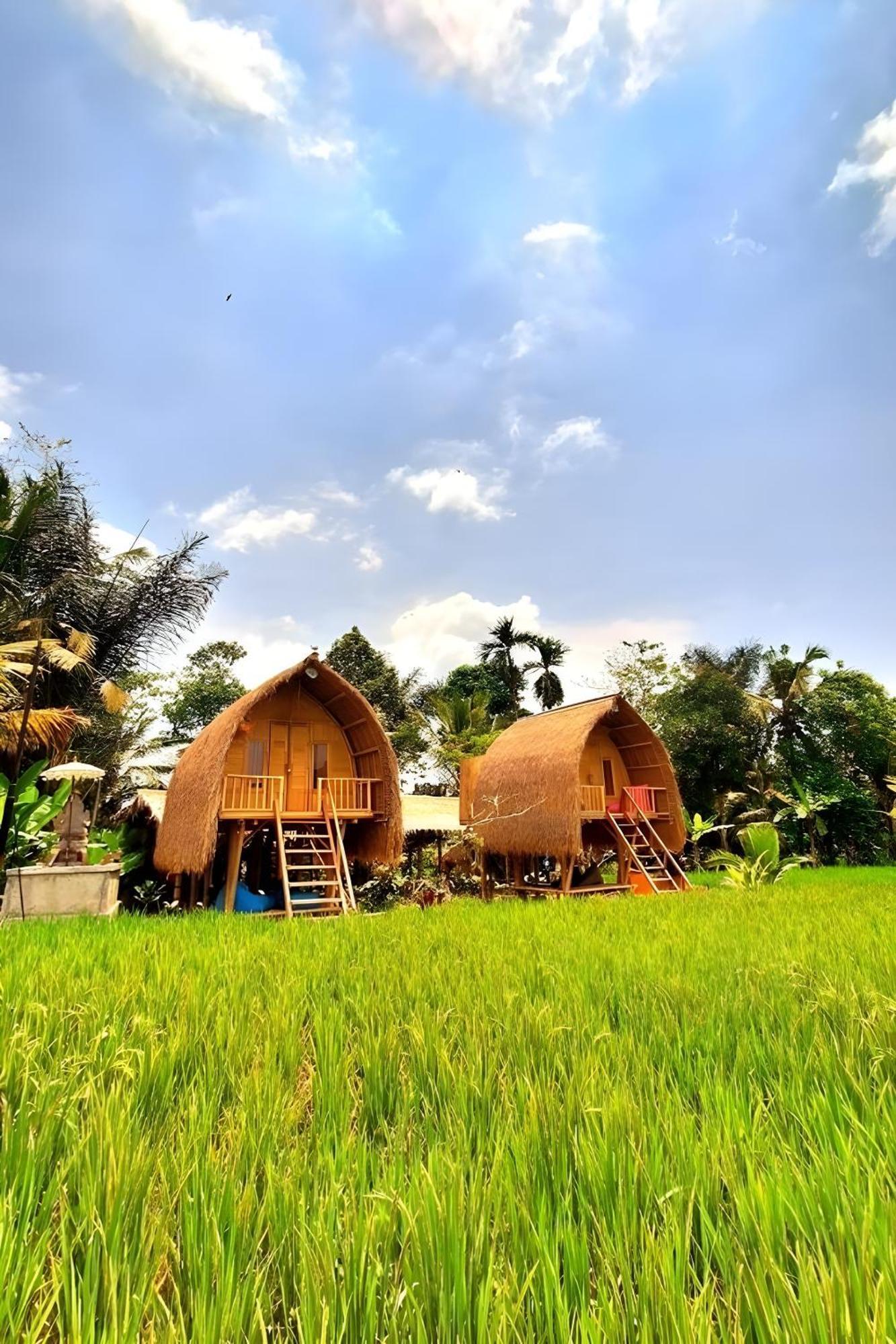 Lumbung Langit Bali House & Hostel Tampaksiring Extérieur photo